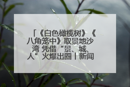 《白色橄榄树》《八角笼中》取景地沙湾 凭借“景、城、人”火爆出圈丨新闻发布最前线