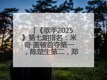 《歌手2025》第七期排名：米奇·盖顿首夺第一，陈楚生第二，郑欣宜将参加下一轮张榜赛