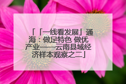 「一线看发展」通海：做足特色 做优产业——云南县域经济样本观察之二