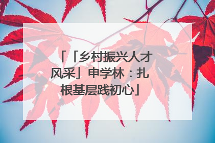 「乡村振兴人才风采」申学林：扎根基层践初心