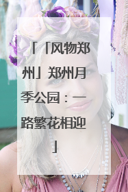 「风物郑州」郑州月季公园：一路繁花相迎