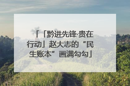 「黔进先锋·贵在行动」赵大志的“民生账本”画满勾勾