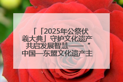 「2025年公祭伏羲大典」守护文化遗产 共启发展智慧——“中国—东盟文化遗产主题对话”侧记