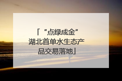 “点绿成金” 湖北首单水生态产品交易落地