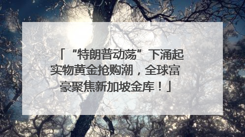 “特朗普动荡”下涌起实物黄金抢购潮，全球富豪聚焦新加坡金库！