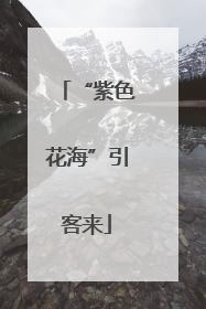 “紫色花海”引客来