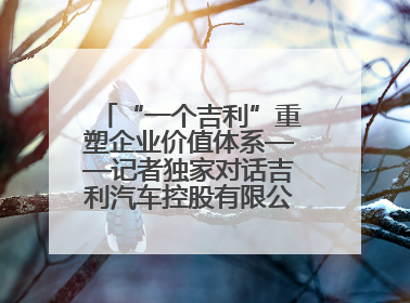 “一个吉利”重塑企业价值体系——记者独家对话吉利汽车控股有限公司行政总裁及执行董事桂生悦
