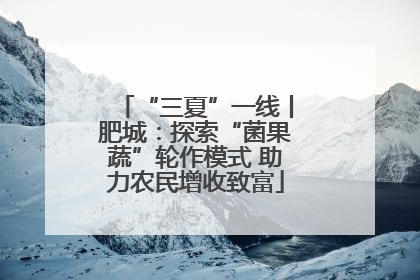 “三夏”一线丨肥城：探索“菌果蔬”轮作模式 助力农民增收致富