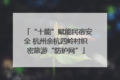 “十能”赋能民宿安全 杭州余杭四岭村织密旅游“防护网”