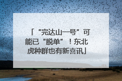 “完达山一号”可能已“脱单”！东北虎种群也有新喜讯