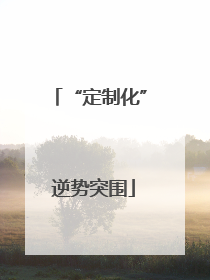 “定制化” 逆势突围
