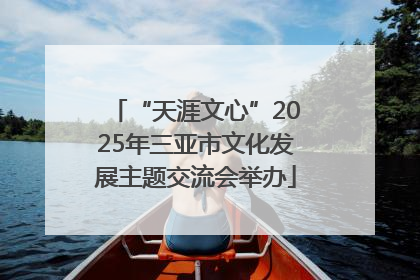 “天涯文心”2025年三亚市文化发展主题交流会举办