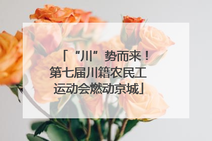 “川”势而来！第七届川籍农民工运动会燃动京城