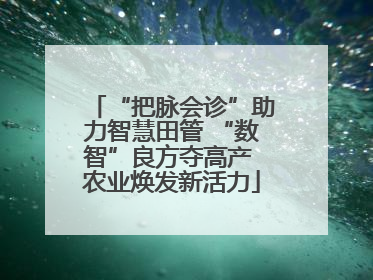 “把脉会诊”助力智慧田管 “数智”良方夺高产 农业焕发新活力