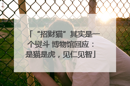 “招财猫”其实是一个熨斗 博物馆回应：是猫是虎，见仁见智