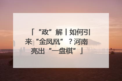 “政”解丨如何引来“金凤凰”？河南亮出“一盘棋”