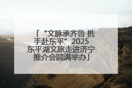 “文脉承齐鲁 携手赴东平”2025东平湖文旅走进济宁推介会圆满举办