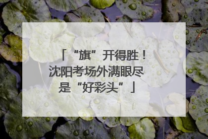 “旗”开得胜！沈阳考场外满眼尽是“好彩头”