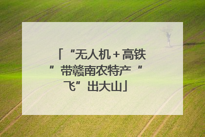 “无人机＋高铁”带赣南农特产“飞”出大山
