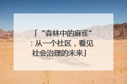 “森林中的麻雀”：从一个社区，看见社会治理的未来