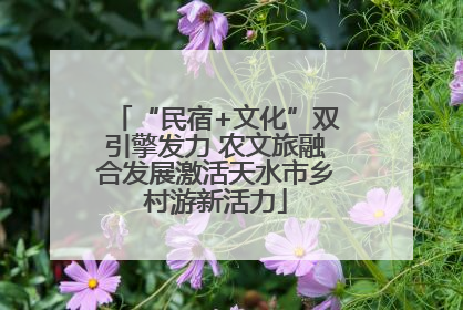 “民宿+文化”双引擎发力 农文旅融合发展激活天水市乡村游新活力