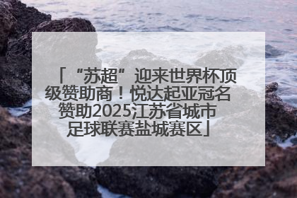 “苏超”迎来世界杯顶级赞助商！悦达起亚冠名赞助2025江苏省城市足球联赛盐城赛区