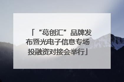 “葛创汇”品牌发布暨光电子信息专场投融资对接会举行