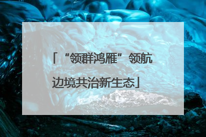 “领群鸿雁”领航边境共治新生态