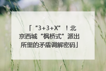 “3+3+X”！北京西城“枫桥式”派出所里的矛盾调解密码