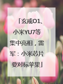 玄戒O1、小米YU7等集中亮相，雷军：小米芯片要对标苹果