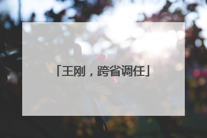 王刚，跨省调任
