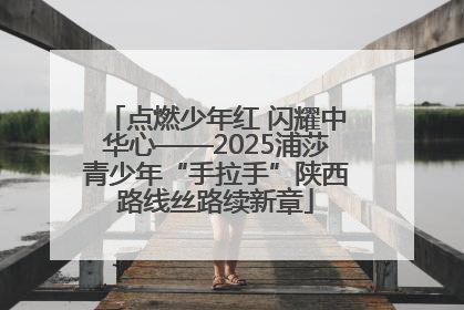点燃少年红 闪耀中华心——2025浦莎青少年“手拉手”陕西路线丝路续新章