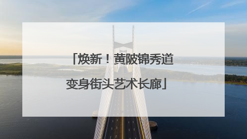 焕新！黄陂锦秀道变身街头艺术长廊