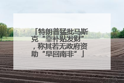 特朗普猛批马斯克“靠补贴发财”，称其若无政府资助“早回南非”