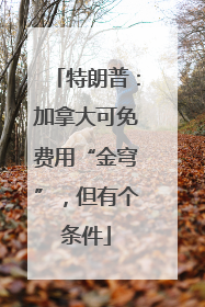 特朗普：加拿大可免费用“金穹”，但有个条件