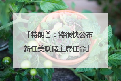特朗普：将很快公布新任美联储主席任命