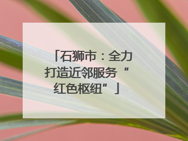 石狮市：全力打造近邻服务“红色枢纽”