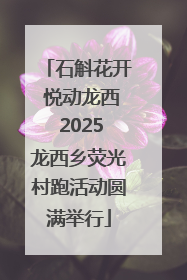 石斛花开 悦动龙西 2025龙西乡荧光村跑活动圆满举行