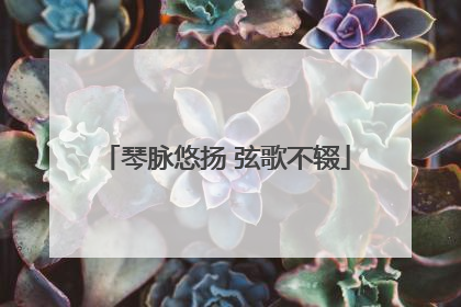 琴脉悠扬 弦歌不辍