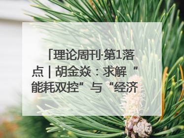 理论周刊·第1落点｜胡金焱：求解“能耗双控”与“经济增长”矛盾