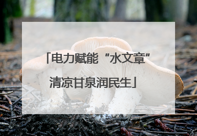 电力赋能“水文章” 清凉甘泉润民生