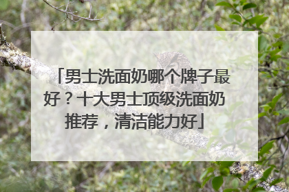 男士洗面奶哪个牌子最好？十大男士顶级洗面奶推荐，清洁能力好