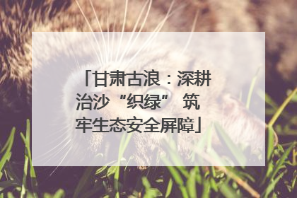 甘肃古浪：深耕治沙“织绿” 筑牢生态安全屏障