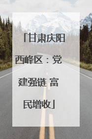甘肃庆阳西峰区：党建强链 富民增收