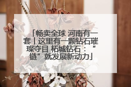 畅卖全球 河南有一套丨这里有一颗钻石璀璨夺目 柘城钻石：“链”就发展新动力