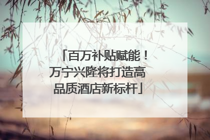 百万补贴赋能！万宁兴隆将打造高品质酒店新标杆