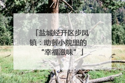 盐城经开区步凤镇：助餐小院里的“幸福滋味”