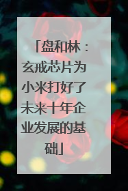 盘和林：玄戒芯片为小米打好了未来十年企业发展的基础