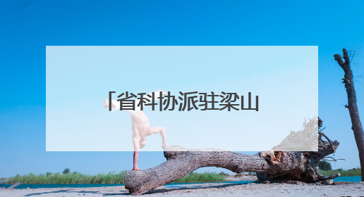 省科协派驻梁山县第一书记——三措并举 赋能乡村教育 助力黄河滩娃健康成长