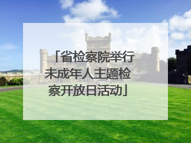 省检察院举行未成年人主题检察开放日活动